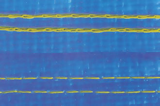 电竞比赛押注平台app