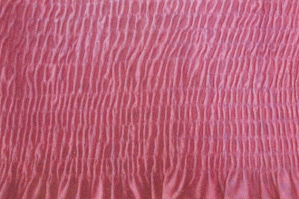 电竞比赛押注平台app